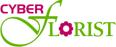 Cyber Florist logo